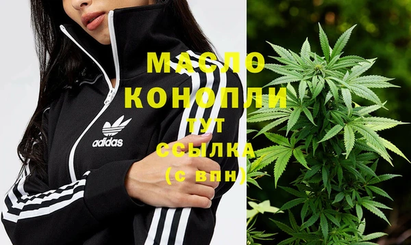 PSILOCYBIN Аркадак