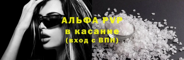 PSILOCYBIN Аркадак