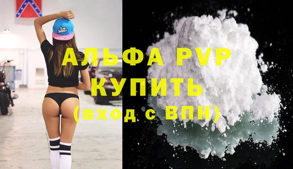 PSILOCYBIN Аркадак