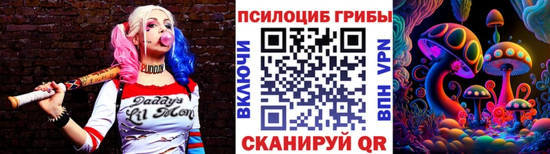 Псилоцибиновые грибы Magic Shrooms  Ельня 