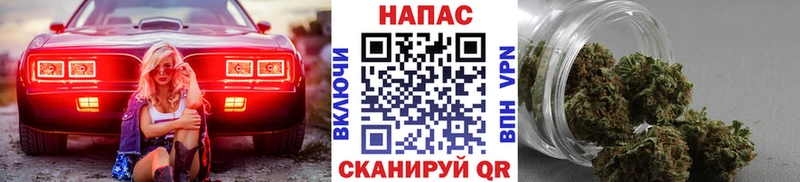 Шишки марихуана White Widow  наркота  Ельня 